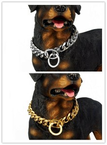 small gold dog collar