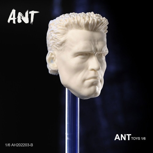 1:6 Scale Head Sculpt Commando T800 Arnold For 12" Male Action Figure Body Toys - Picture 6 of 9