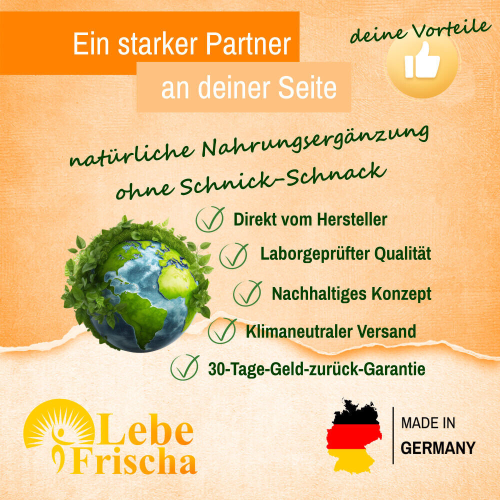 Bild 6 von 6