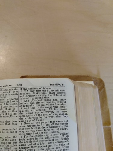 The Holy Bible Self Pronouncing Edition Christianity Scriptures Faith Religion11 - Picture 12 of 12