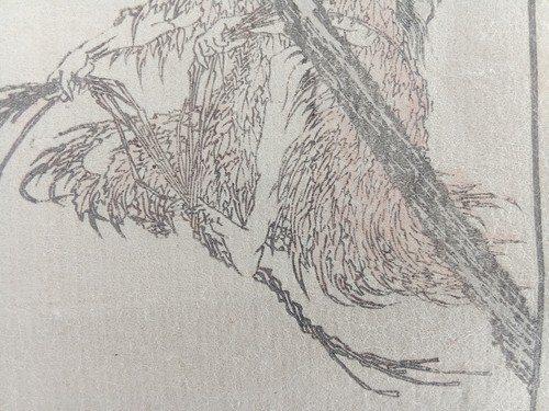 Estampe gravure Japonaise ancienne sur papier riz artiste HOKUSAI 19e siècle - Picture 9 of 14