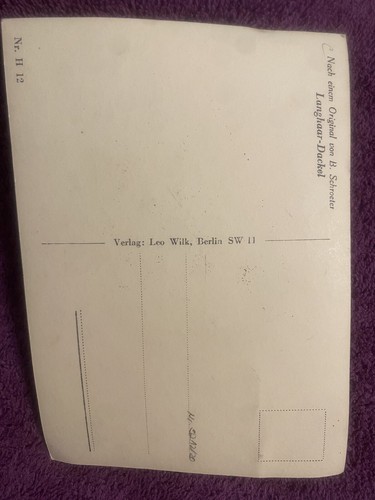 Vintage Dachshund Postcard Unposted - Picture 2 of 4