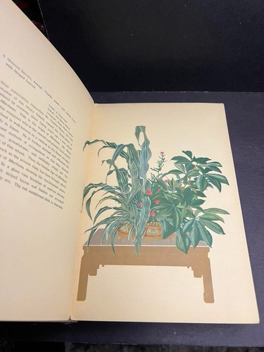 Vintage Art Deco Era Select flower arrangements of moribana & heikwa 50 Plates - Picture 7 of 15