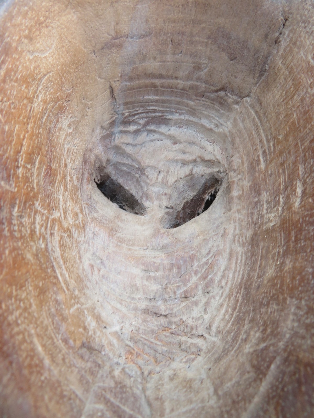 Picture 8 of 9