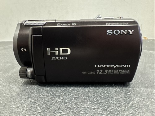 Sony Handycam HDR-CX560V Black Camcorder Video Camera In Japanese