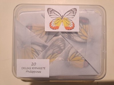 Delias hyparete (Pieridae)