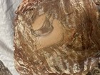 Bild 10 von 10