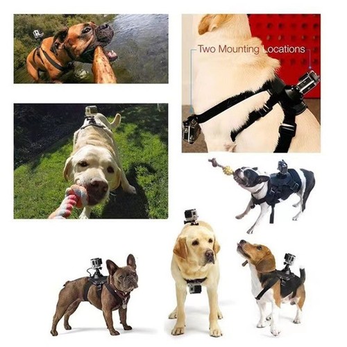 Support de harnais pour chien design noir élégant compatible avec pour caméra - Picture 2 of 8