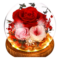 Ewige Rose Im Glas Mit Led-Licht Ewige Rosenlampe Geschenk FüR Frauen Mama