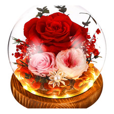 Ewige Rose LED Licht Glas Geschenkbox rot 1 St&uuml;ck Weihnachten Deko Freude