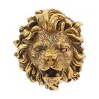 Resin Lion Head Fountain Nozzle Wall Mounted Garden Decorative Water Spitter