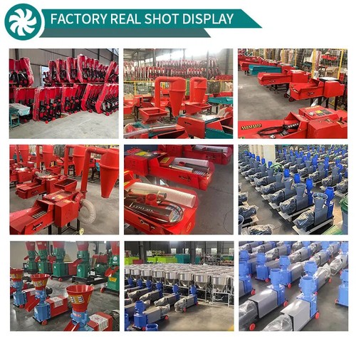 Grasschneide- und Knetmaschine Nass- und Trockenschnitt eine Silage für Tierfutter - Bild 8 von 8