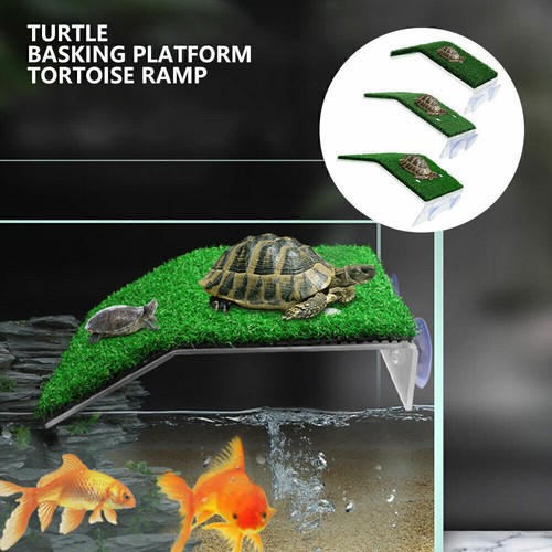 Schildkröten Aquarium Behälter Plattform Wasserschildkröte Pier Terrasse Insel - Bild 2 von 14