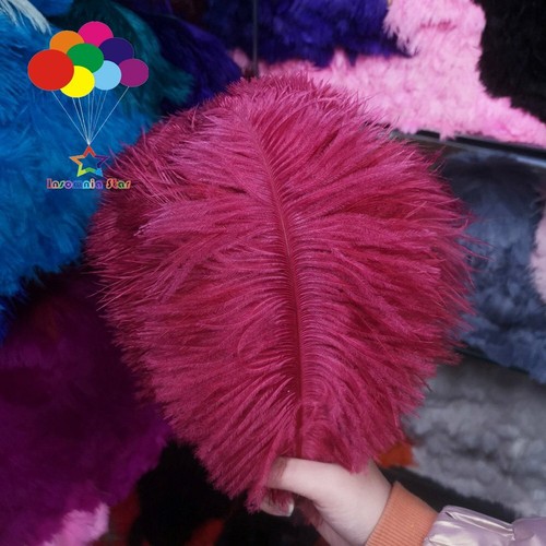 10 pcs 45-50 cm/18-20 inch Hard Rod high quality Ostrich Feathers Party Plumas - Picture 25 of 35