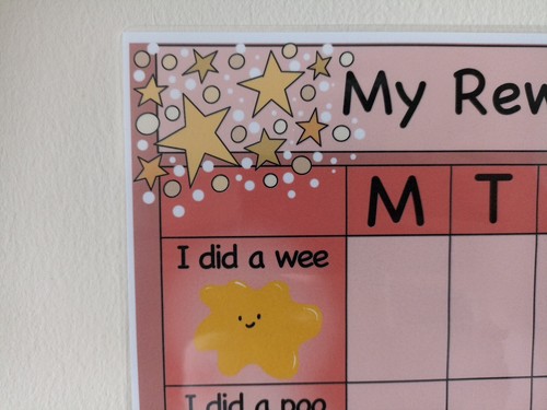 Handmade A4, Reward Chart, POTTY TRAINING, reusable, Laminated, wipe clean, Pink - Picture 3 of 5