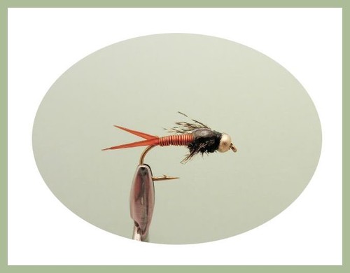 Gold Bead Nymph Trout Flies, 12 Pack, Mixed 10/12, Named in description - Picture 5 of 7