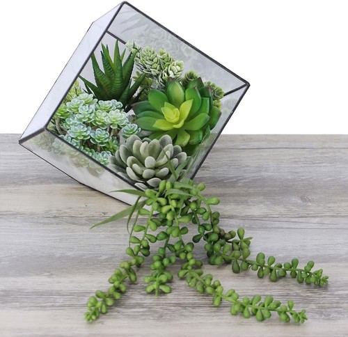 Winlyn 6 Pcs Unpotted Fake Succulents Assorted Faux Succulent in Green - 第 5/8 張圖片