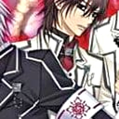 Vampire Knight DS Limited Edition Nintendo DS NDS NTSC-J CIB