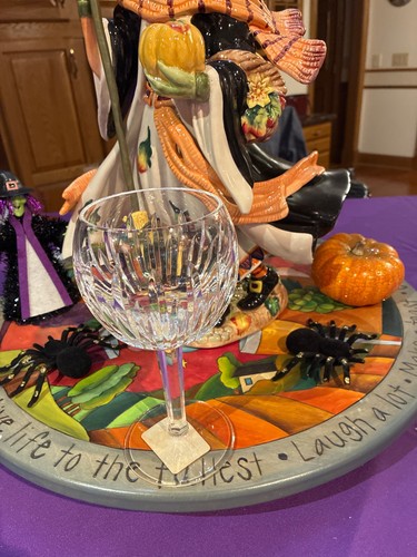 Waterford Kristall Carina Ballon Weinglas 924641 - Bild 5 von 5