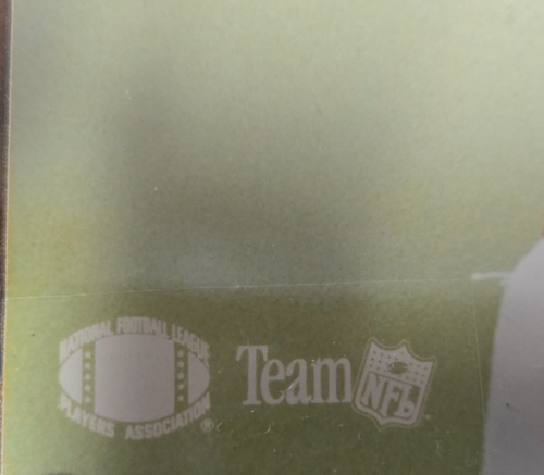 STEVE YOUNG #8 HANDSIGNIERTES HANDSIGNIERTES 8X10 FOTO SAN FRANCISCO 49ERS NFL - Bild 2 von 4