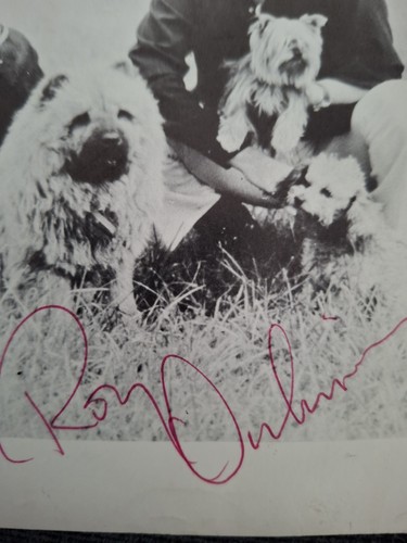 Tarjeta fotográfica promocional firmada por Roy Orbison - Imagen 2 de 4