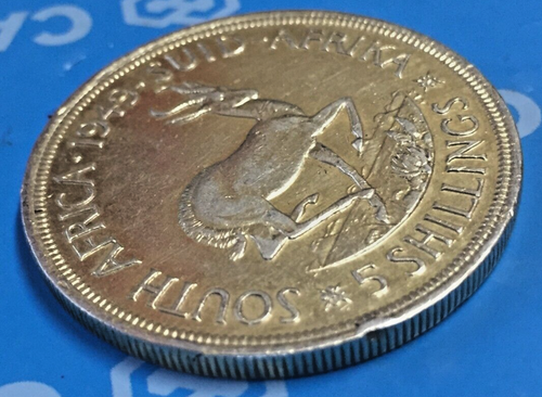 1949 South Africa Silver Coin 5 Shillings - George IV , Afrikaans A7 - Picture 3 of 7