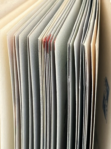Vintage Ladybird Book Series 536 - Second Book British Birds - Buff Cover DJ 2’6 - Picture 5 of 24