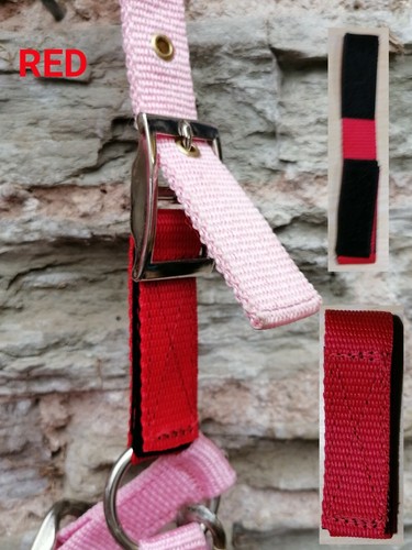 FIELD SAFE CONVERTER   25mm   for HEADCOLLAR    any size    1" web. colours - Picture 58 of 70