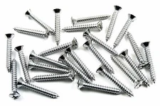 GM Truck Chrome Interior Trim Screws- #6 x 1" Long- #6 Oval Head- 25 screws #270