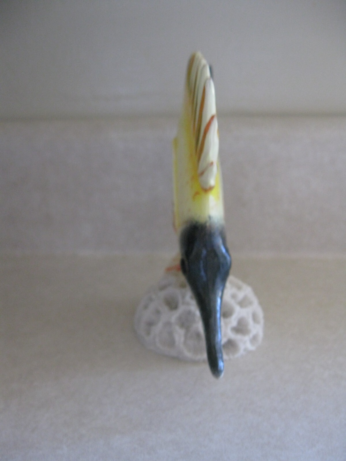 Picture 4 of 5