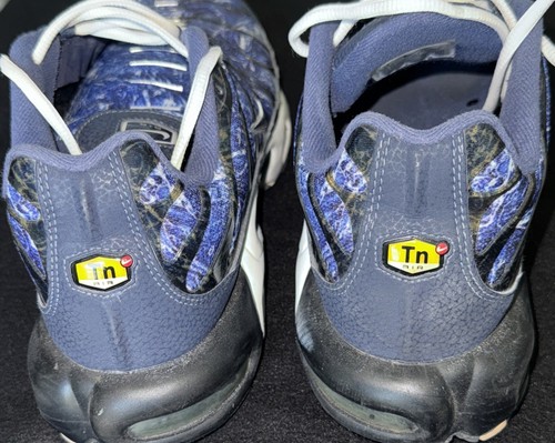 Nike Air Max Plus Shattered Ice Talla 13 Azul Blanco - Imagen 6 de 15