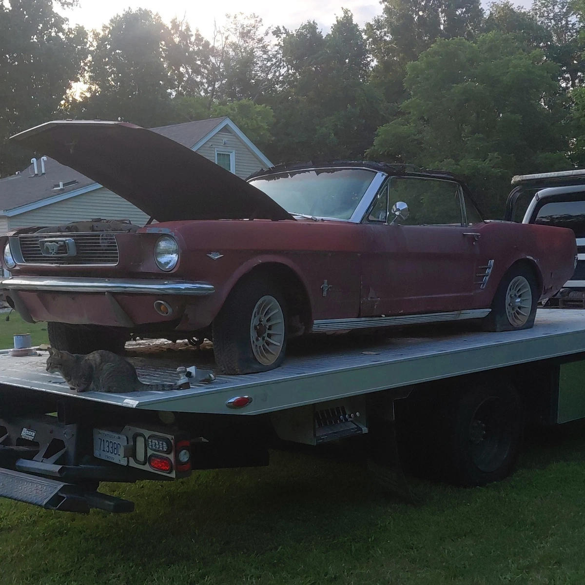 Mustang Salvage Cars for sale | eBay