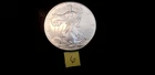 1 oz American Silver Eagle Coin, uncirculated direct from the U.S. Mint, bullion