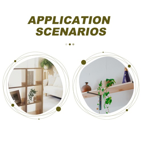  Hydroponische Vase Reisen Pflanzgefäß Für Wasser Reagenzglasvase Aus - Bild 2 von 12