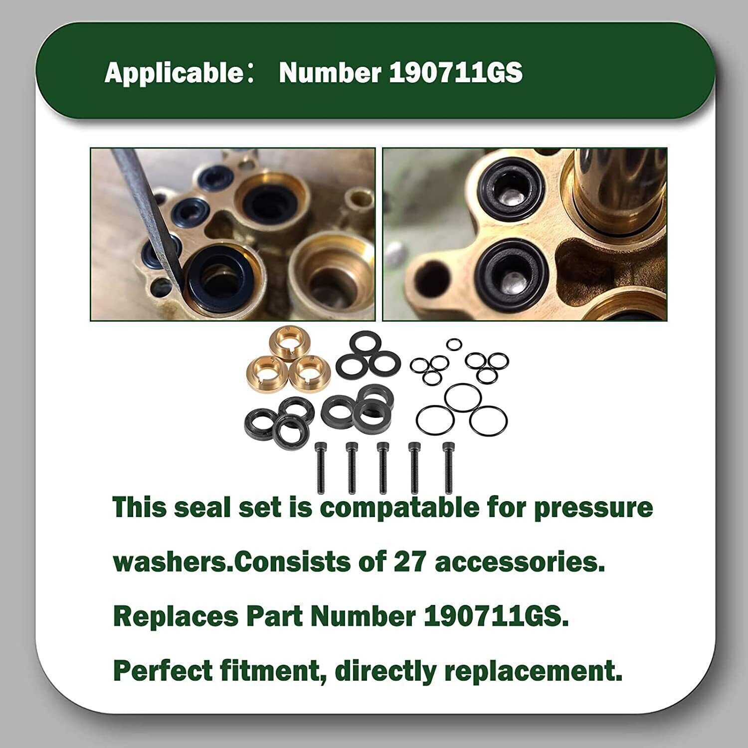 Pressure Washer Seal Kit Complete Set 190595GS for Briggs & Stratton