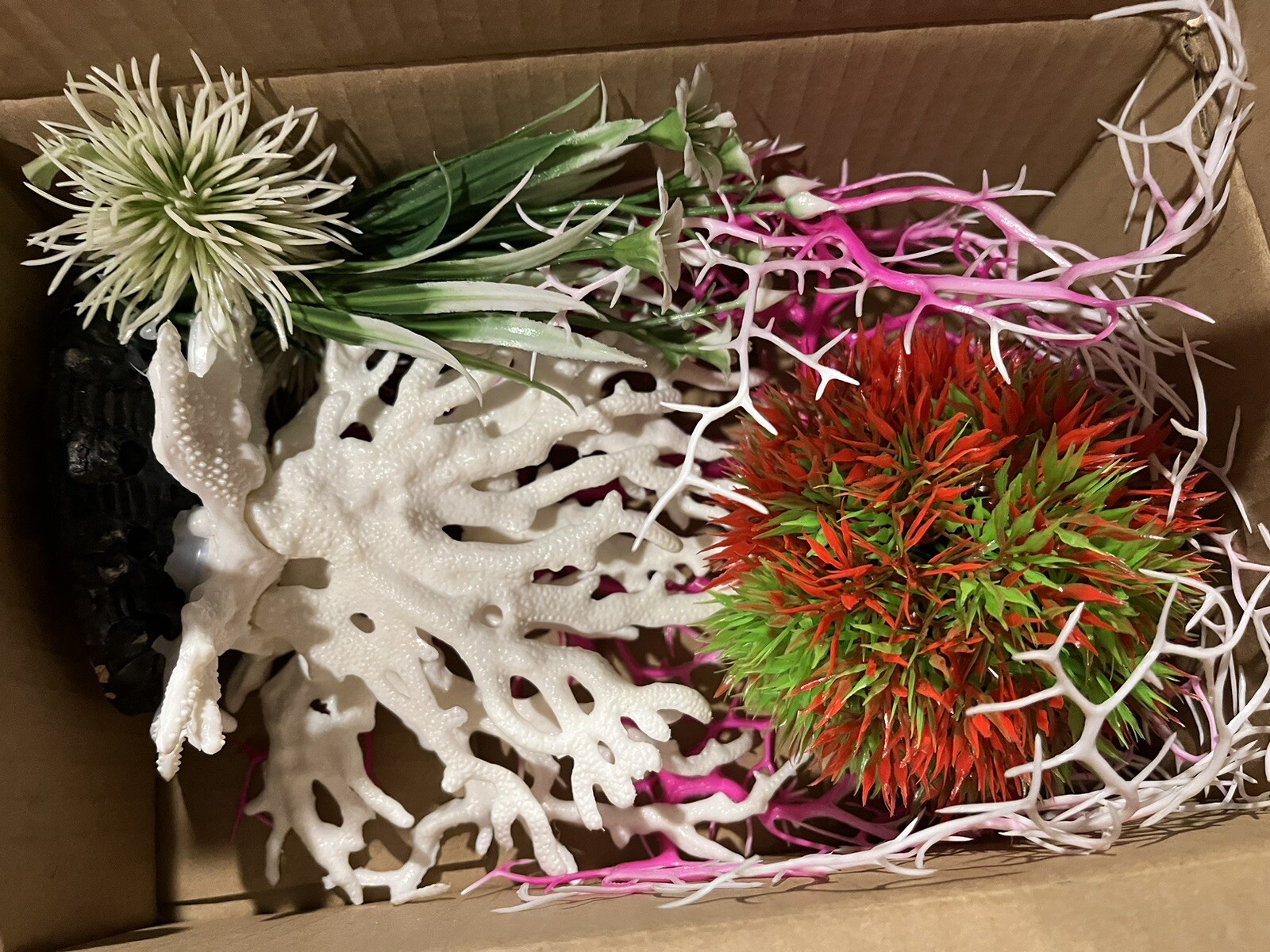 Picture 7 of 24