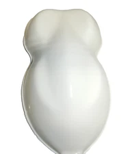 # POL - 1311 Pure Bright White Single Stage Urethane Enamel Paint Gallon Kit