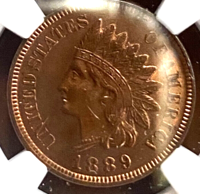 Picture 3 of 6