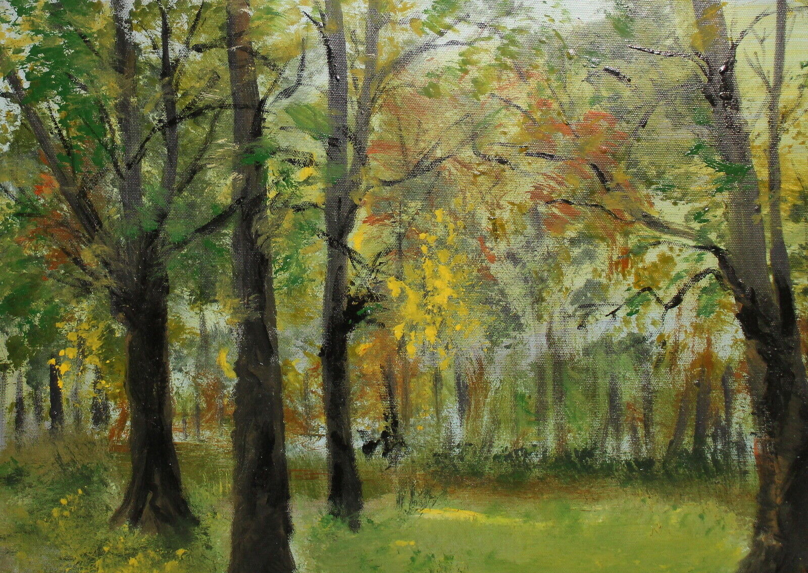 Bild 6 von 12