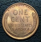 Picture 6 of 6