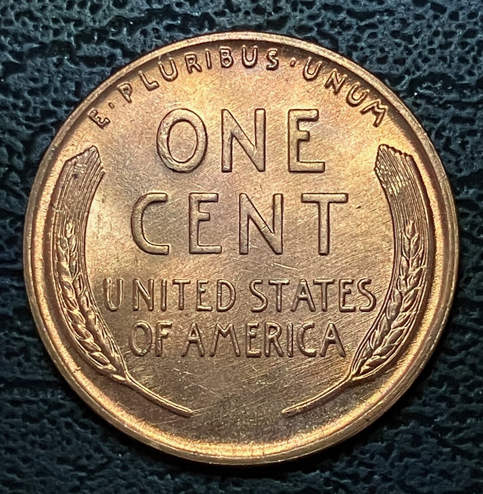 Picture 6 of 6