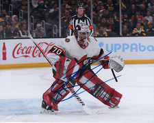 Ottawa Senators Kevin Mandolese Autographed Signed 8x10 NHL Photo COA #2 Ottawa Senators Kevin Mandolese Autographed Signed 8x10 NHL Photo COA #2