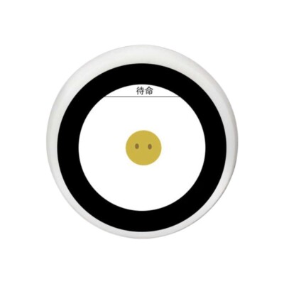 Small Voice Assistant Module ESP32-S3 WiFi Bluetooth-compatible OTA Support