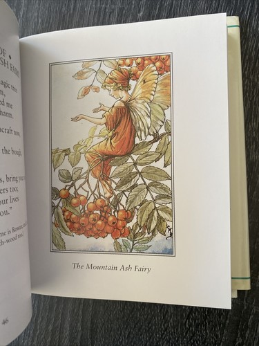 A Flower Fairies Treasury by Cicely Mary Barker Hardcover Dust Jacket 2000 - Bild 8 von 9