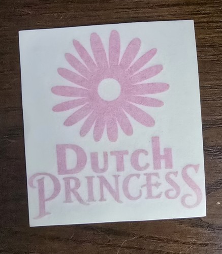 Seltene Rarität Dutch Bros. Brothers Aufkleber Rosa Dutch Princess Blume - Bild 2 von 3