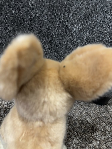 Unipak Fennec Fox Rare 8" Realistic Stuffed Animal Plush Toy Tan - Picture 6 of 11