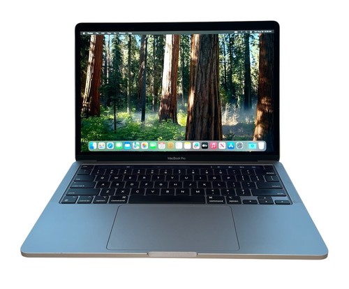 Apple MacBook Pro 13" grau - M1, 16GB RAM, 256GB SSD, SIEHE DETAILS (E426)