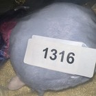 Foto 9 di 10