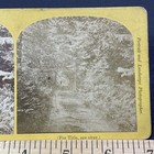 Picture 3 of 5