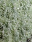 Bild 6 von 8